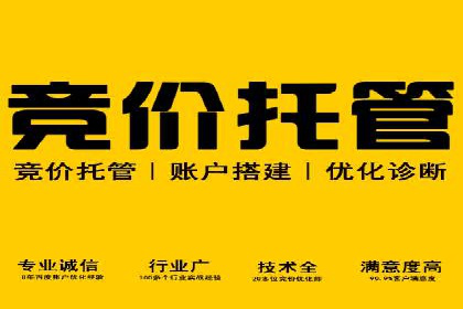 百度竞价SEM实战案例：助力企业业绩增长